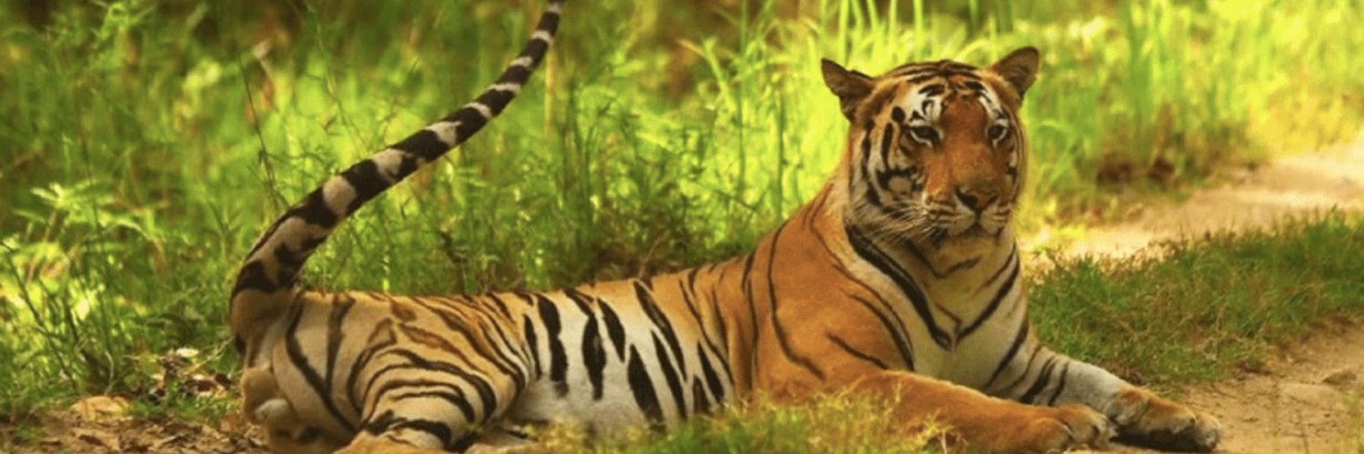 Chimur Tiger Resort Profile Banner