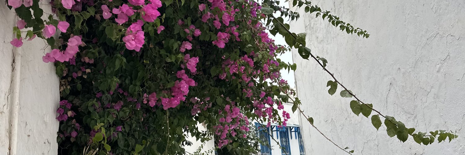 __igabes's profile banner image