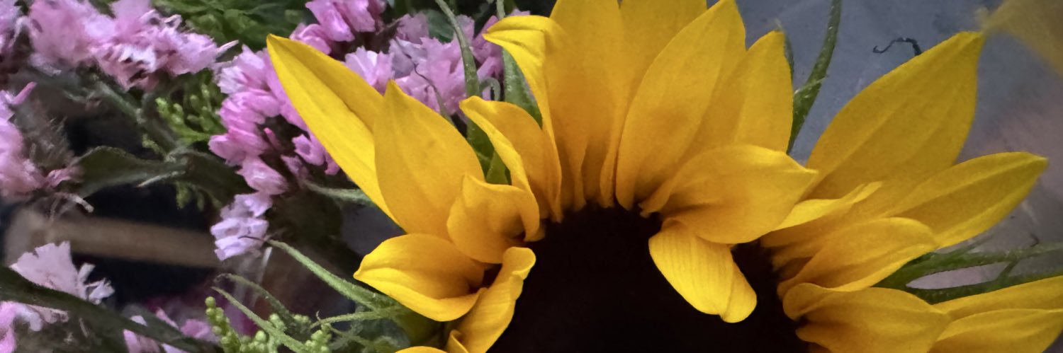 PaoMachay's profile banner image
