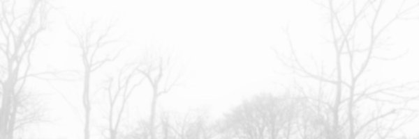 keitanishii Profile Banner