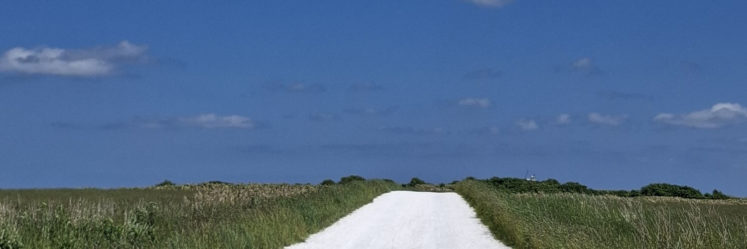 mickysngj's profile banner image