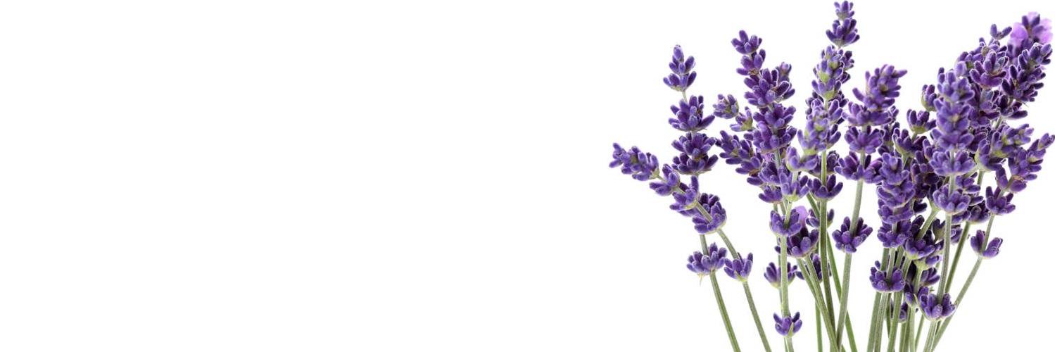 curesbyavance's profile banner image