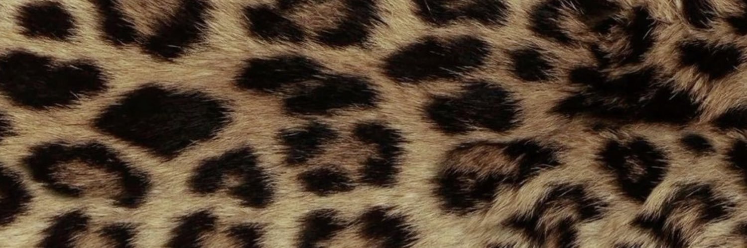 asiarichae's profile banner image