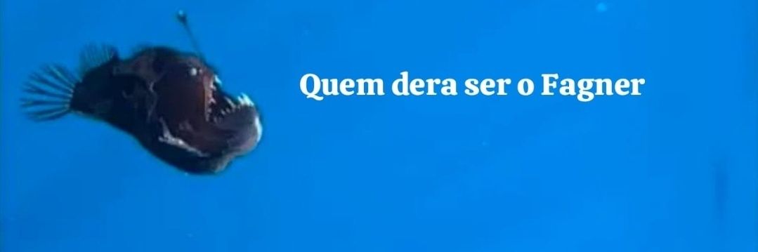 Peixe Djabo vai à Parintins banner