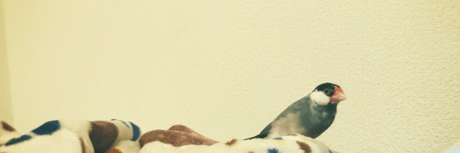 20aky00's profile banner image