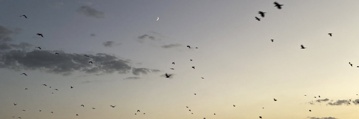 Rukiyeerdgnn's profile banner image