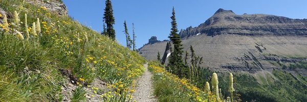 DanielLeskosky Profile Banner