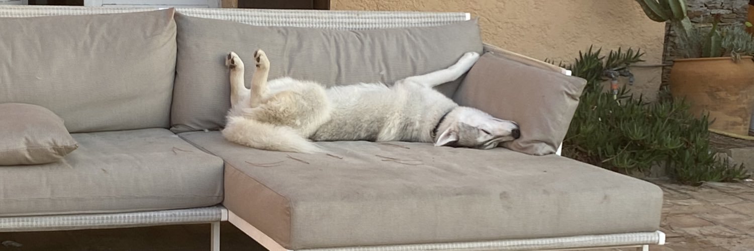 GidaBotFTN's profile banner image