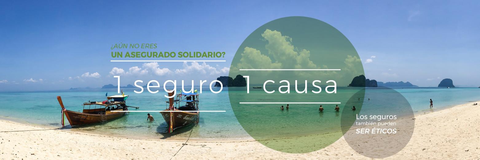 AseguradoSolidarios banner