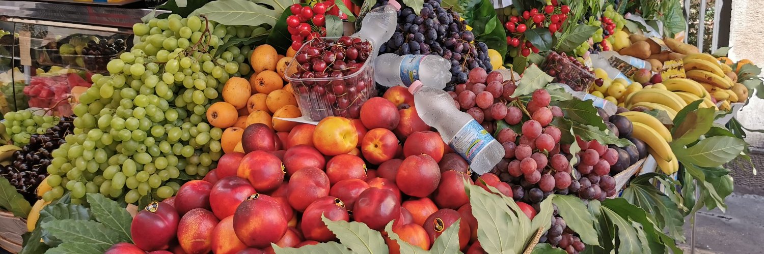 Gesund leben mit Gundo banner