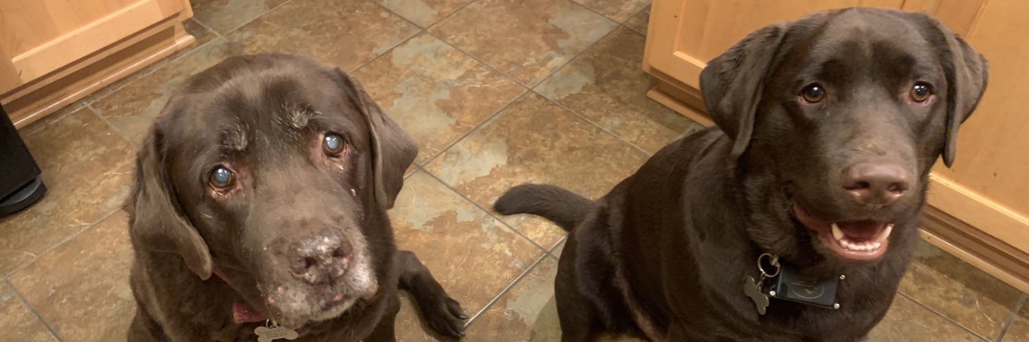 Anthony Ferraro banner