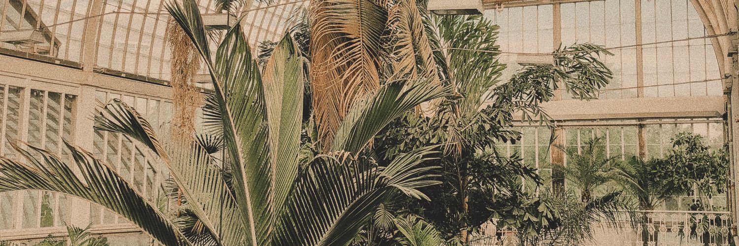 jojo_jozzan's profile banner image