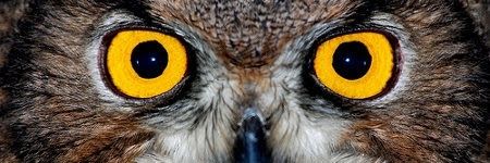 RobertoAErosa's profile banner image