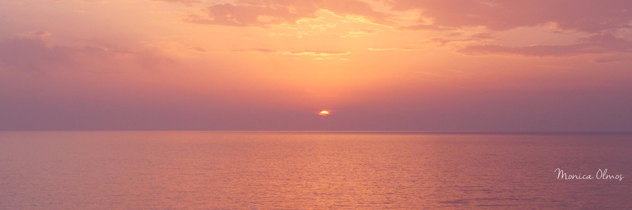 molmosia's profile banner image