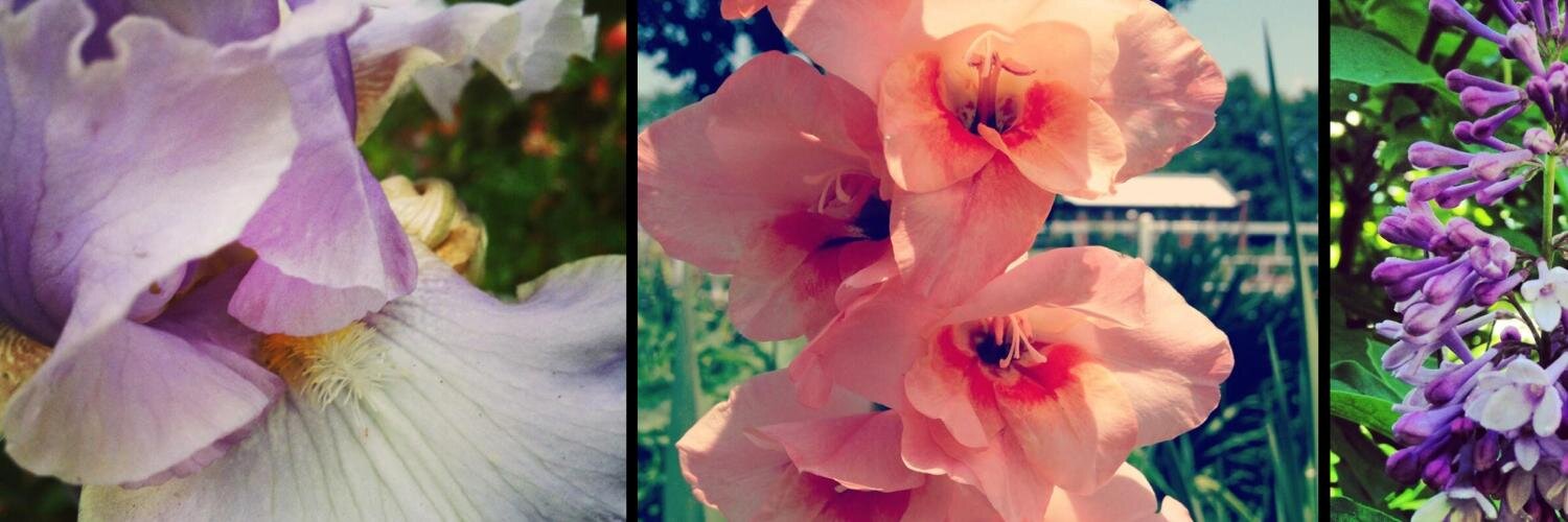 findagarden's profile banner image