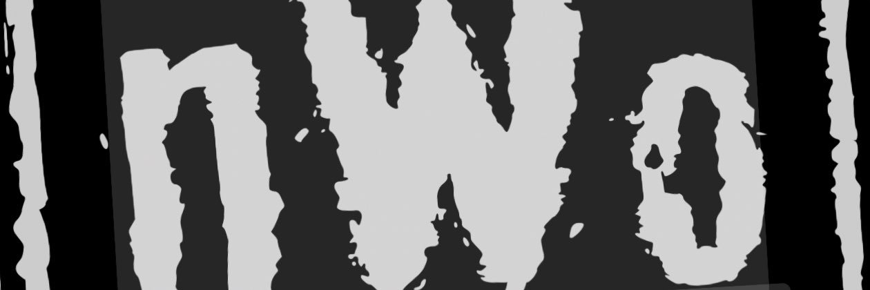 Savage Nation banner