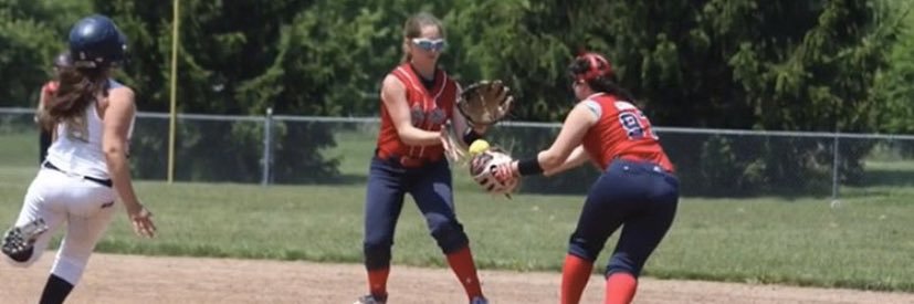 Allison Stein banner