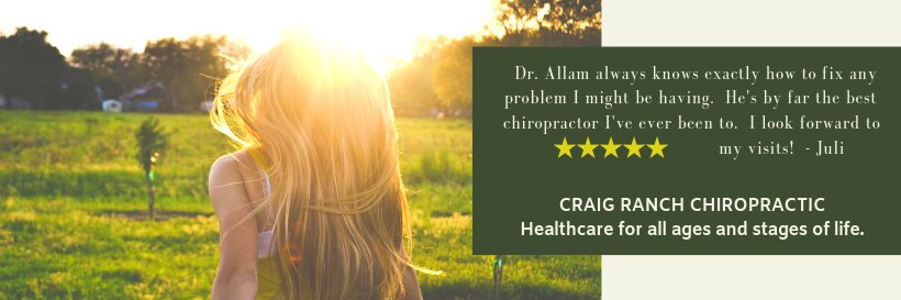 CraigRanchChiro's profile banner image