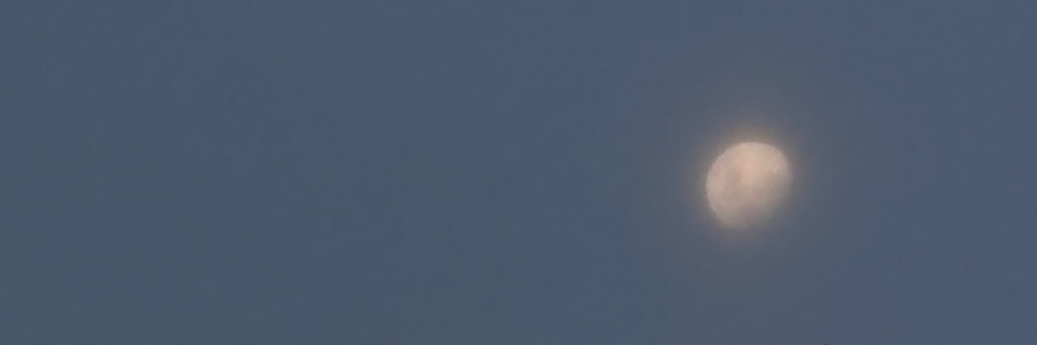 MichuOlazabal's profile banner image