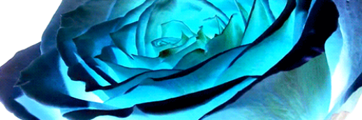 jcvc's profile banner image