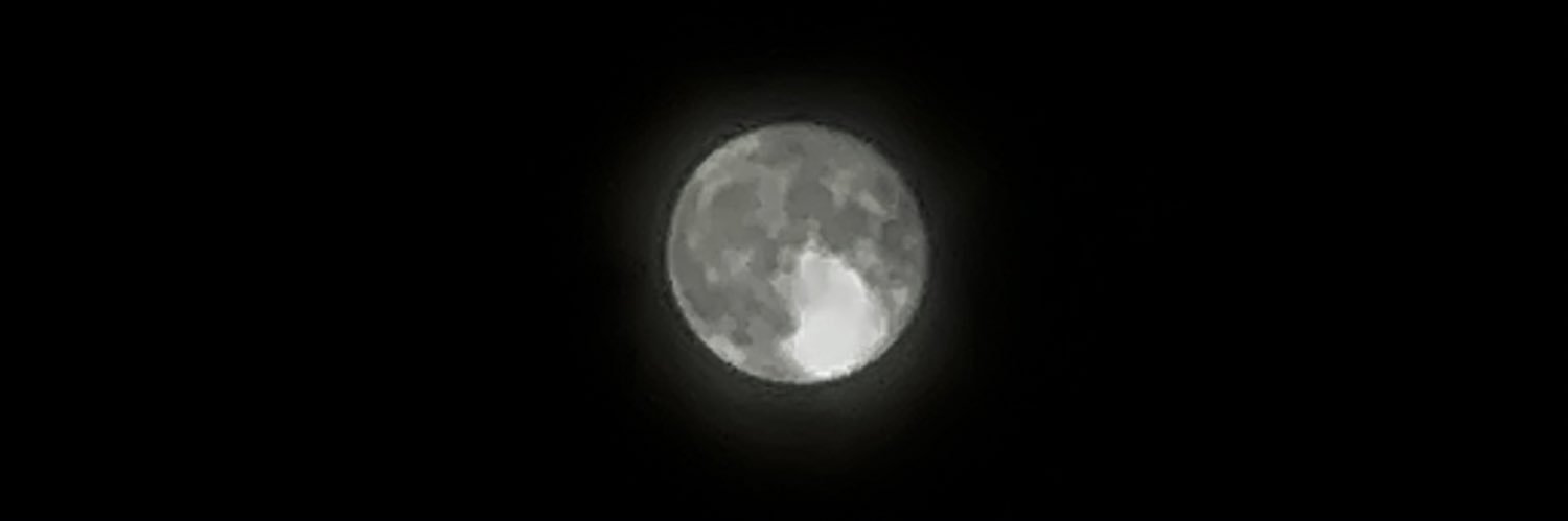 walletsx444's profile banner image