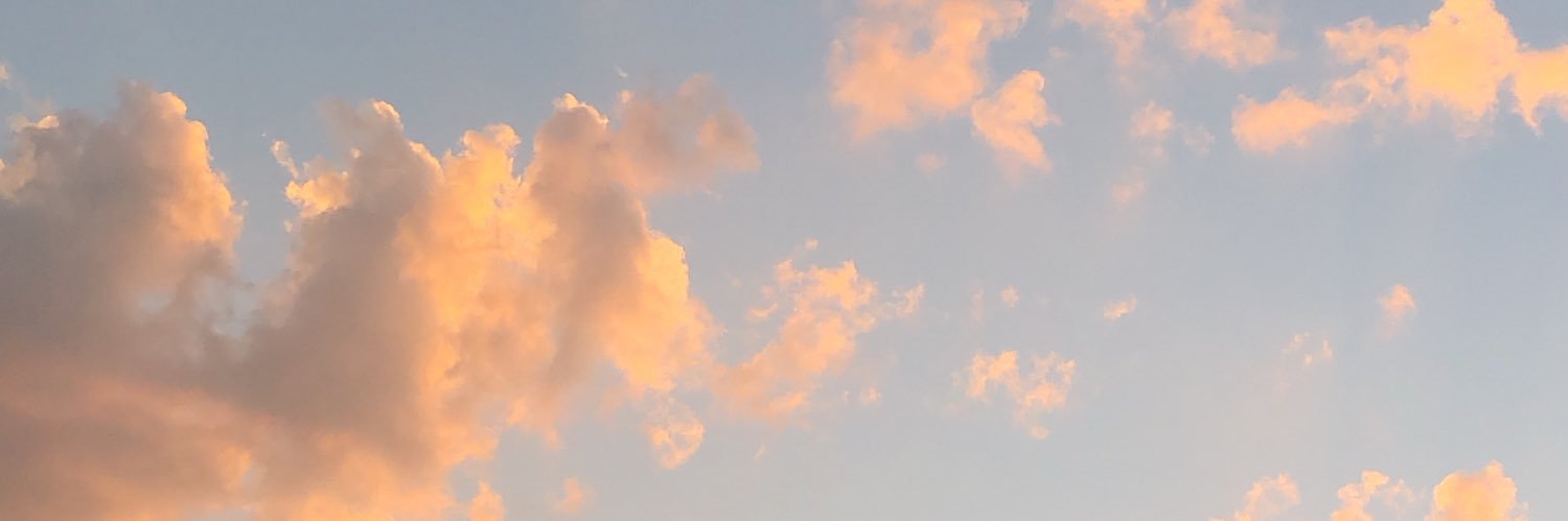 bayann246's profile banner image