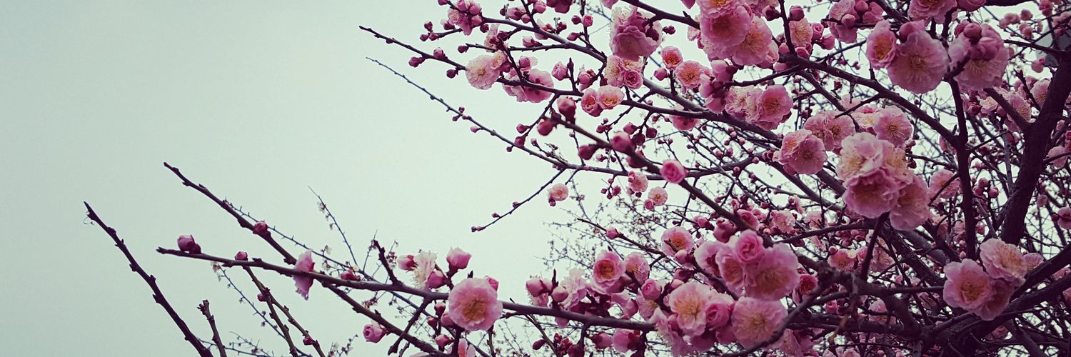 rdtcapacio's profile banner image