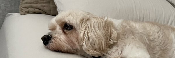 snYpzRL Profile Banner