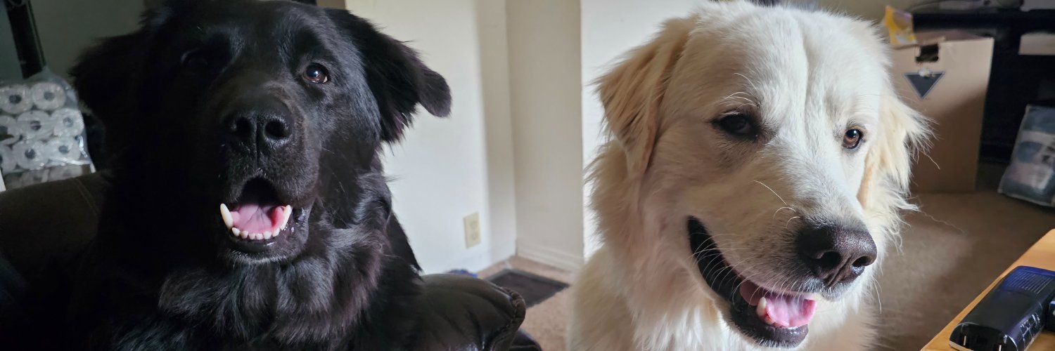 JRsMom - Question Everything banner