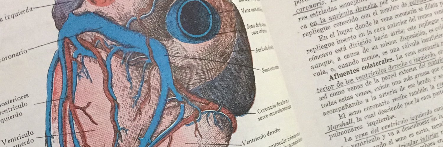 Fernandotchan's profile banner image