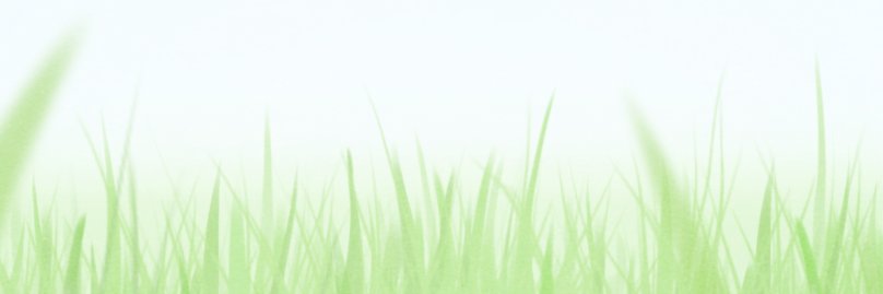 zorrpu.com's banner