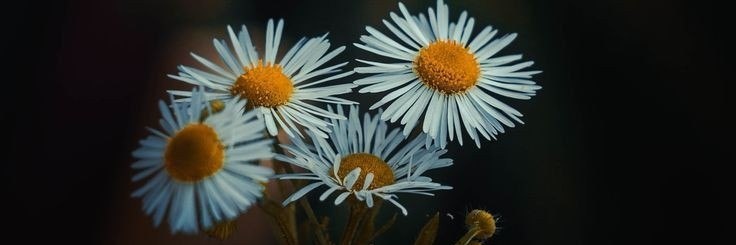 a_662233's profile banner image