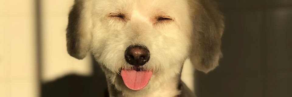 GaaaabyF's profile banner image