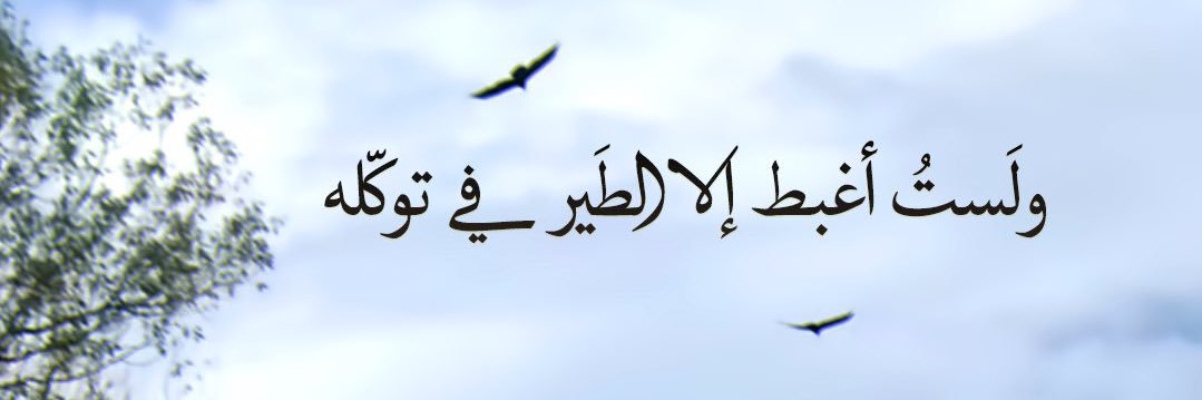 _da118's profile banner image
