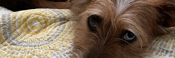 jamiegp Profile Banner