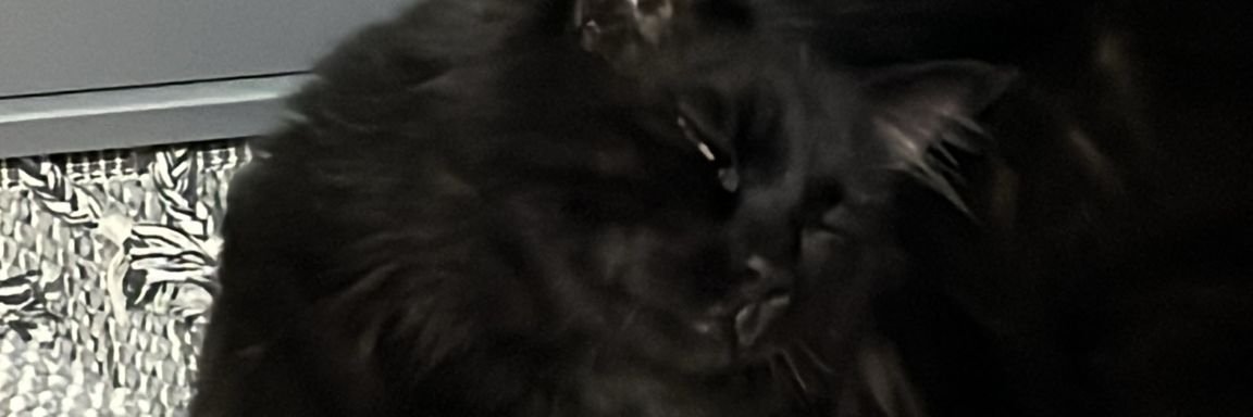 Runn3er's profile banner image