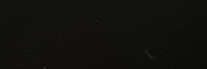 cascaritachi's profile banner image