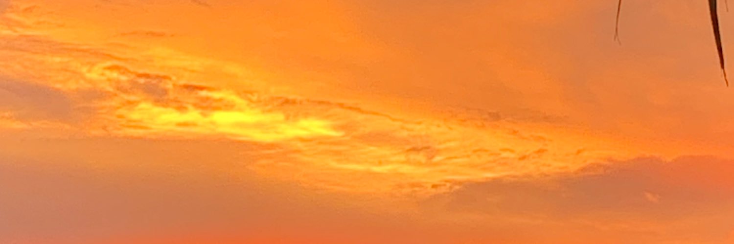 ackmackat's profile banner image