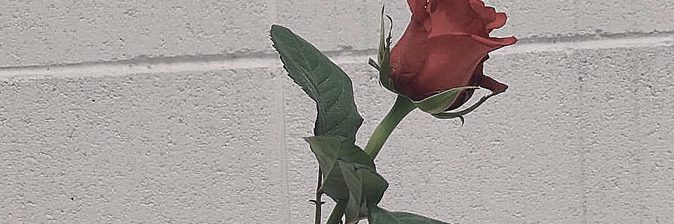m__toa19's profile banner image