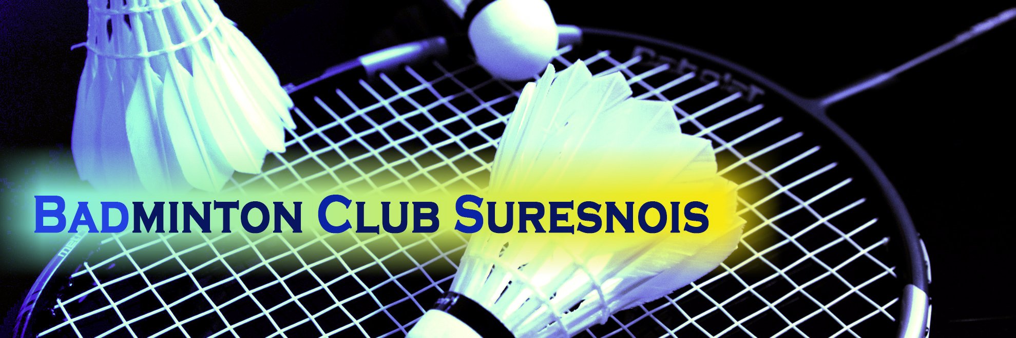 BCSuresnois's profile banner image