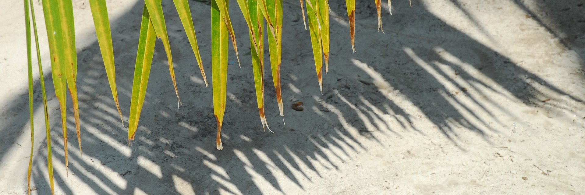 birgitjurock's profile banner image
