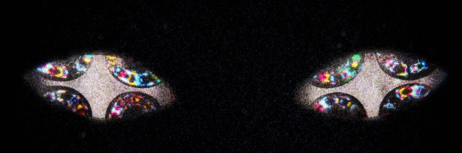 muzzwtf's profile banner image