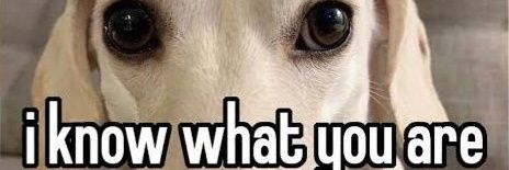 LL banner