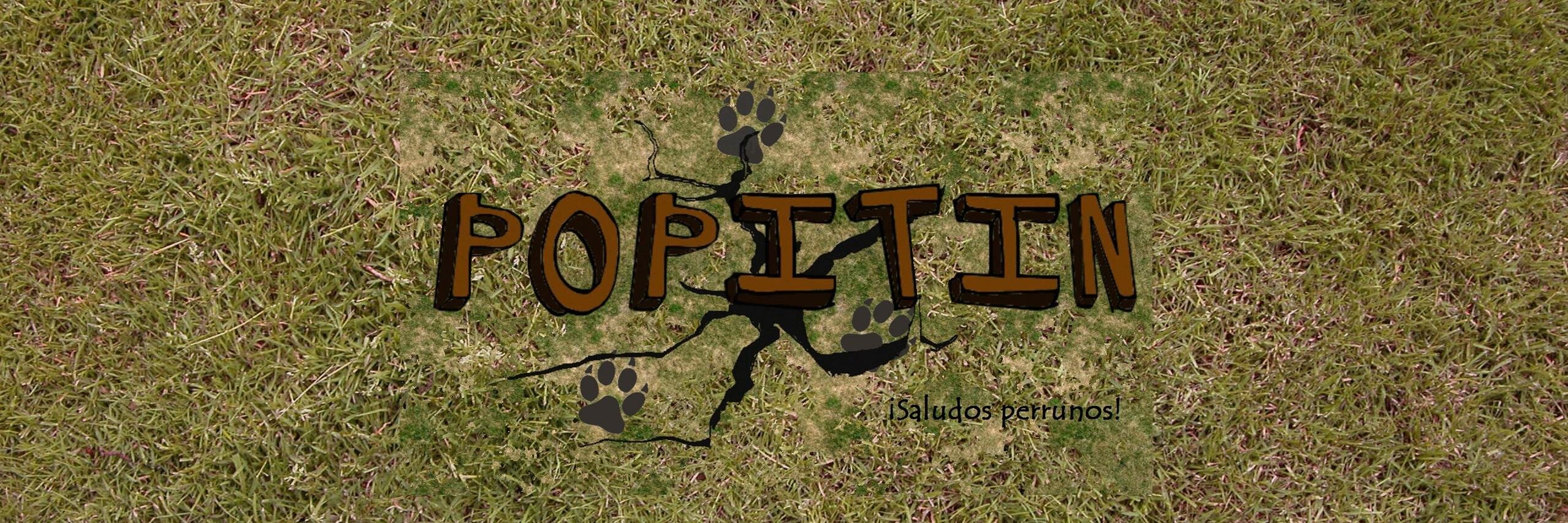 P0PiTiN's profile banner image