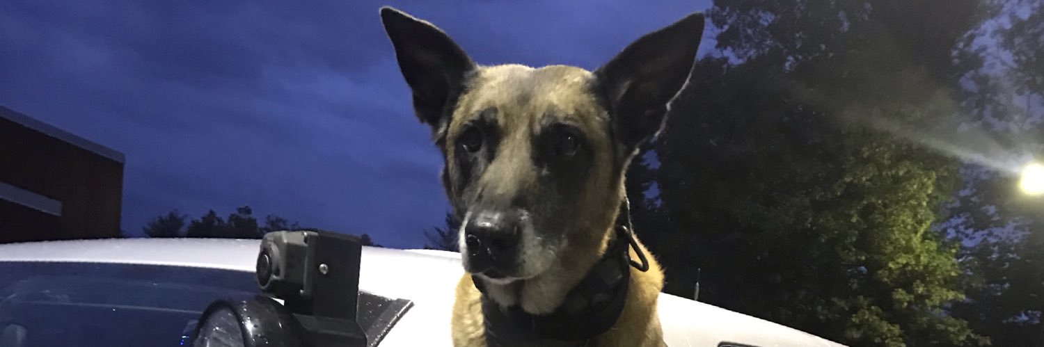 K9Tazor's profile banner image