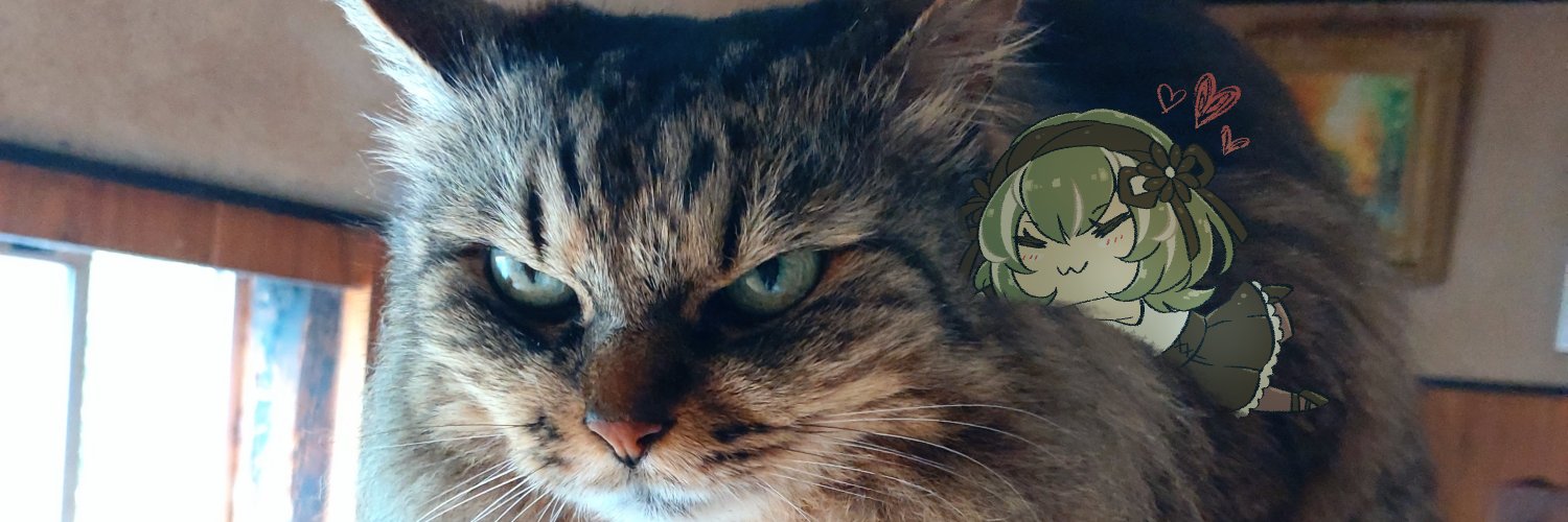tetutarin's profile banner image