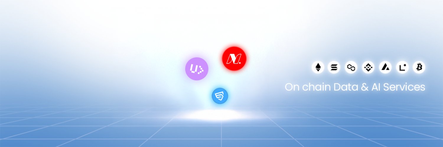 bitsCrunch's banner