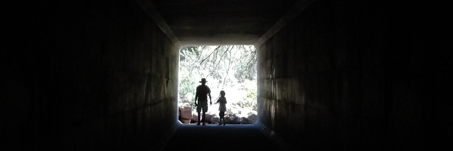 rosieflaherty's profile banner image