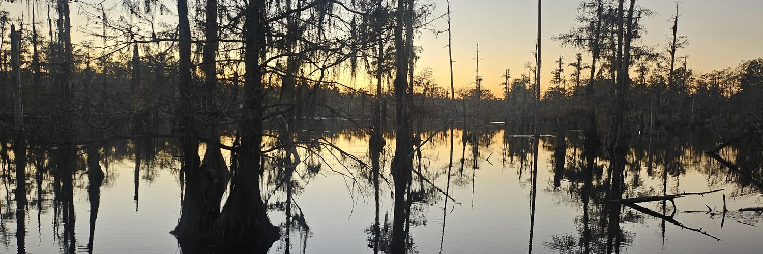 Justin Simpson banner