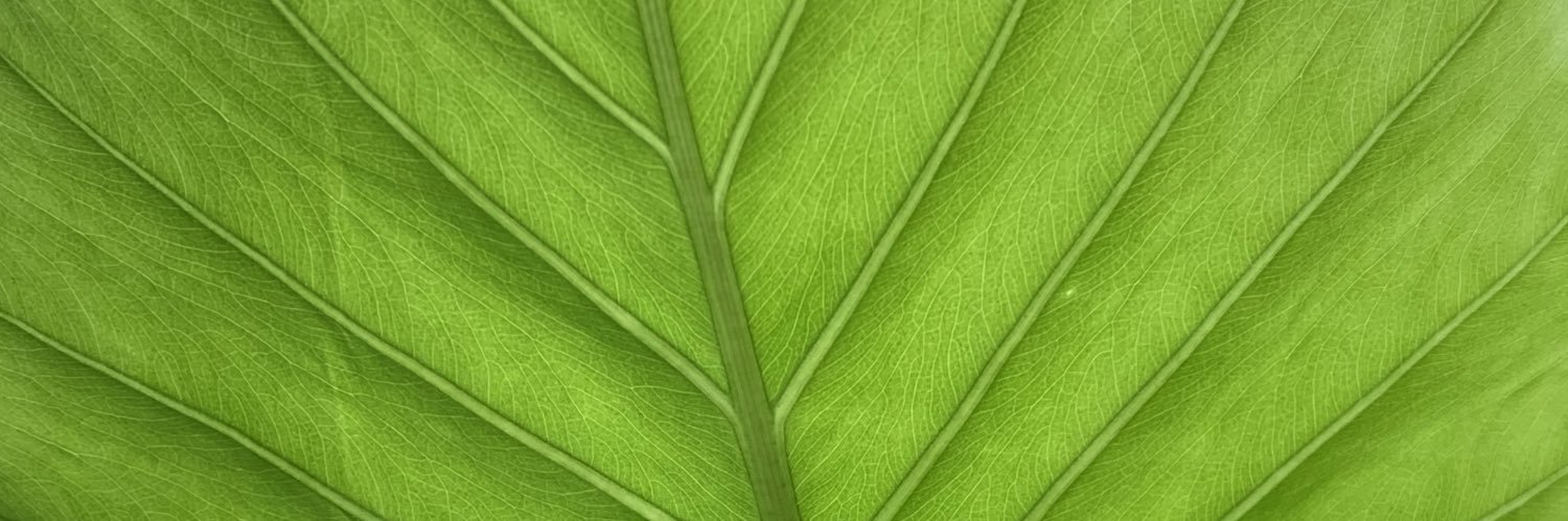 AMBERDAVlS's profile banner image